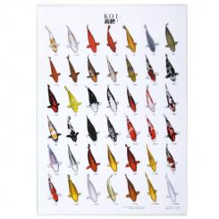 Koi Poster Nr. 2 laminiert